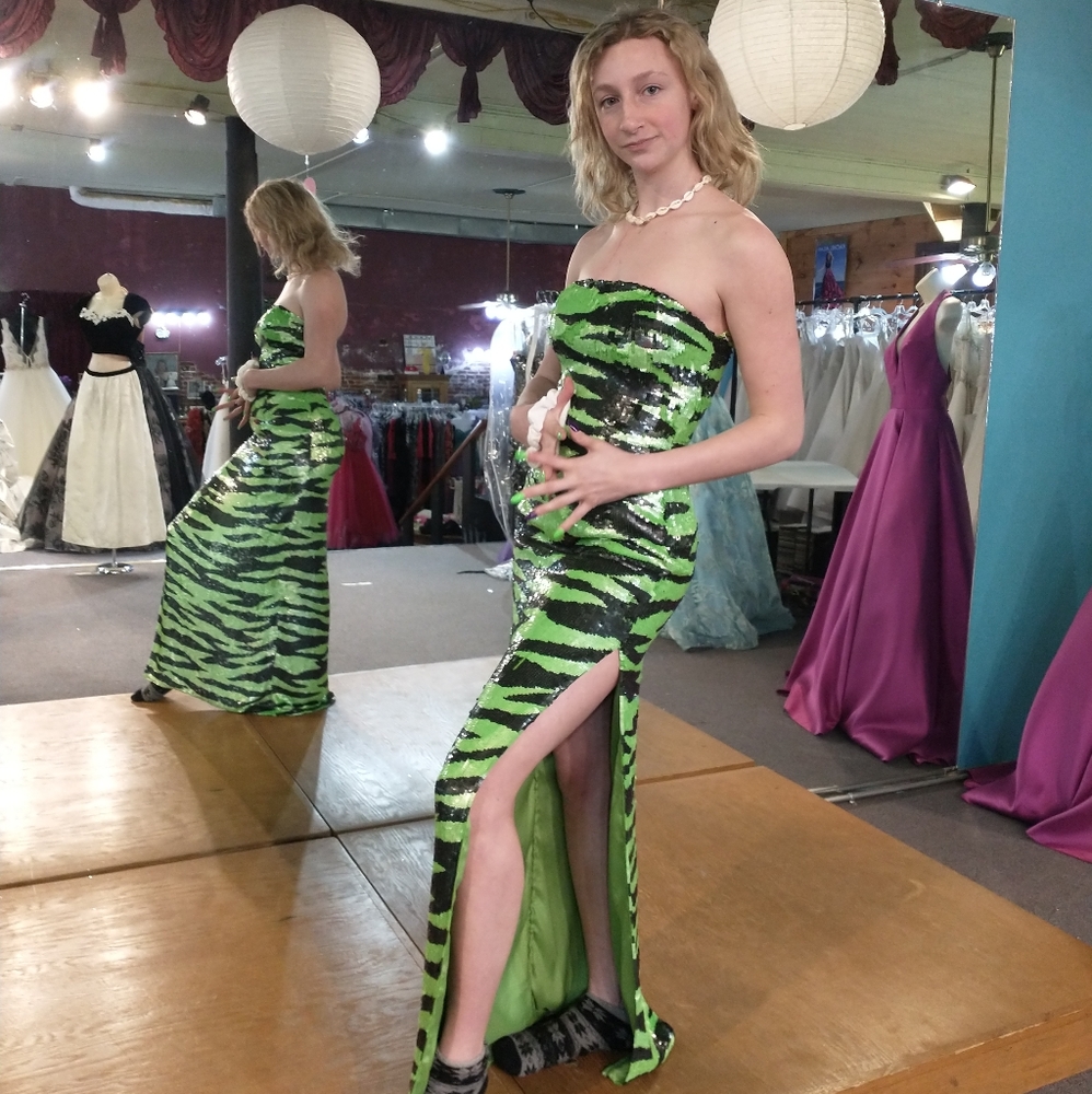 100% Silk Sequined Zebra Green & Black Dress
